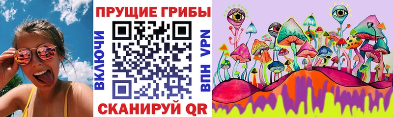 Галлюциногенные грибы Psilocybine cubensis  Вязьма 