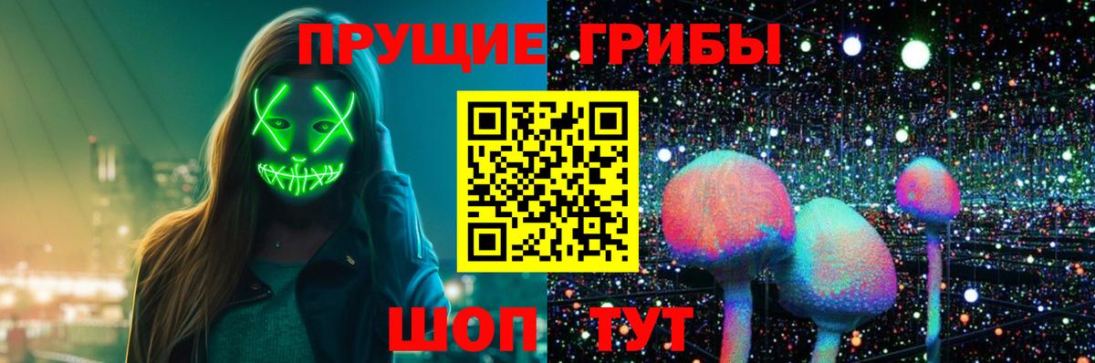 Вязьма  Псилоцибиновые грибы Psilocybine cubensis  Вход с VPN 