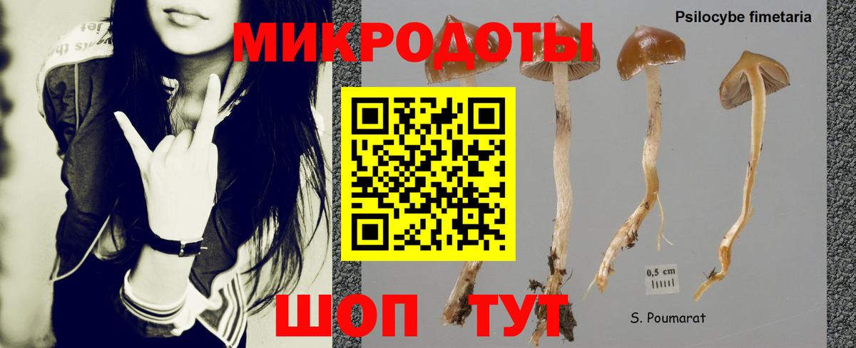 Псилоцибиновые грибы Cubensis Вязьма